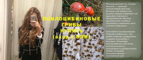 a pvp Алексин