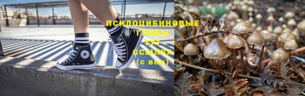 амф Алзамай