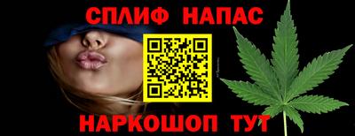 стафф Краснодар