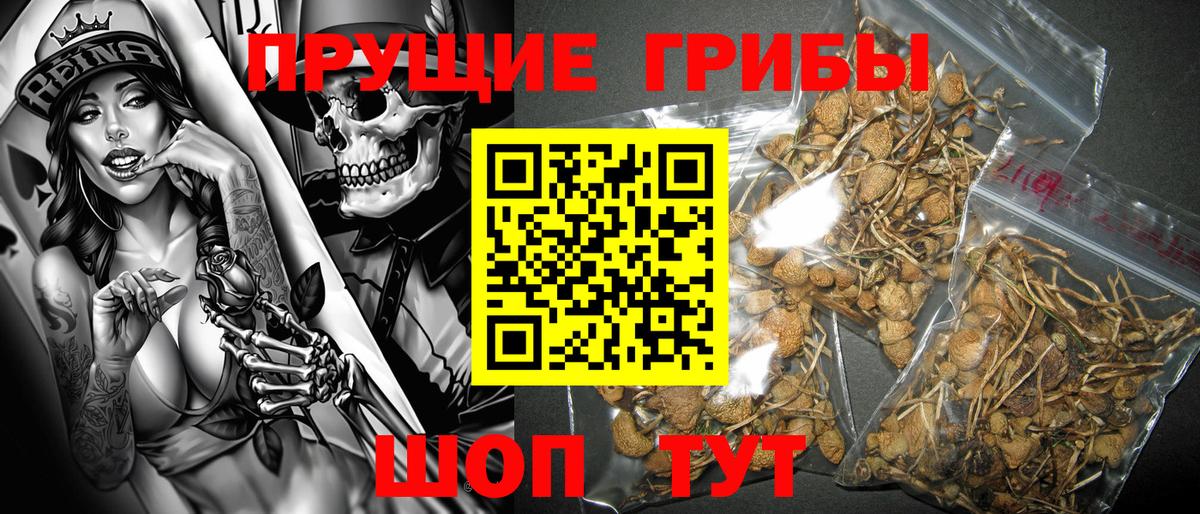 Экстази Коряжма