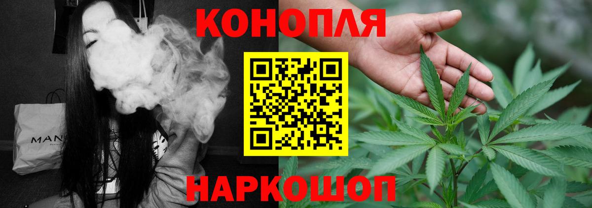 Канабис конопля Коряжма